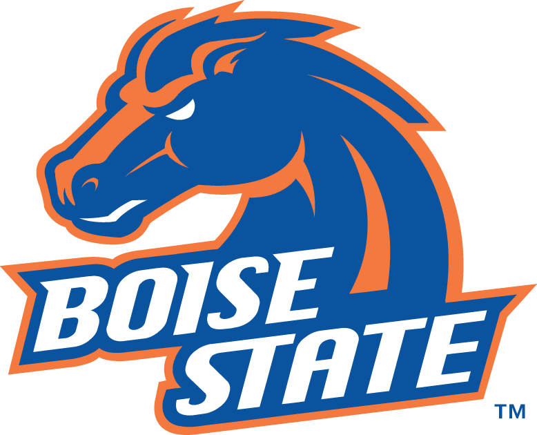 Boise State Broncos 2002-2012 Alternate Logo v3 diy DTF decal sticker